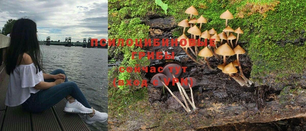 соль ск Абдулино