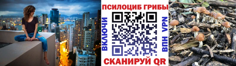 Псилоцибиновые грибы Magic Shrooms  Сурск 